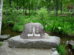 DSCN28380025.jpg
