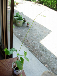 dscn55250001.jpg