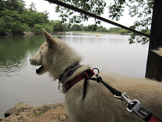 resize1213