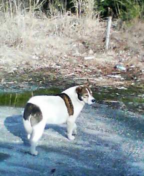 20060227_1524_000.jpg