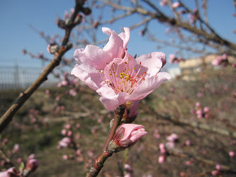 resize2495