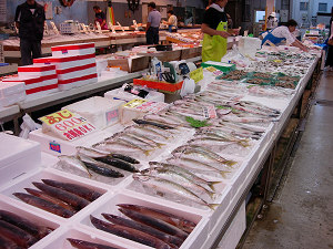 dscn88300007.jpg