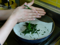 dscn02410003.jpg