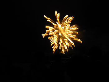 resize3447