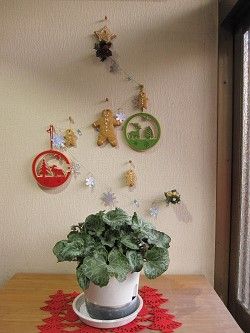 resize2427