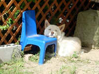 dscn73640002.jpg