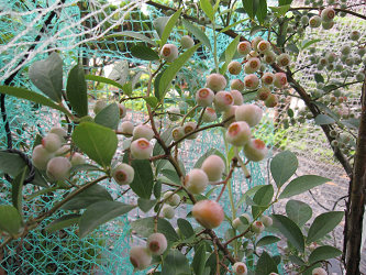 resize2184