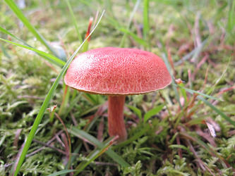 resize3037