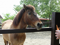 DSCN47450017.jpg