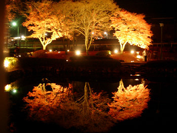 dscn80160005.jpg