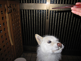 resize0014.jpg