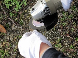 img_16980001.jpg
