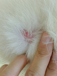 resize1756