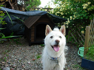 dscn99410003.jpg