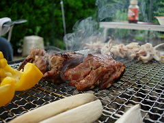 DSCN30610002.jpg