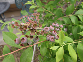 resize0216