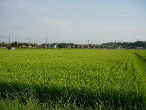 dscn55690001.jpg