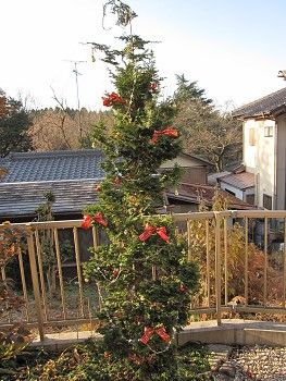 resize3519