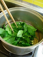 dscn02280008.jpg
