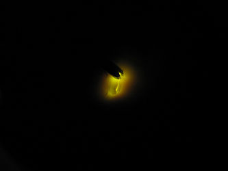 resize1273