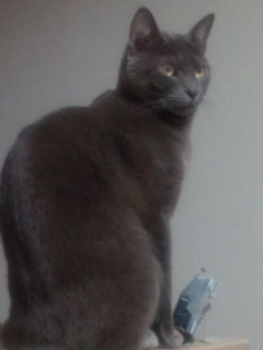 20100123211816.jpg
