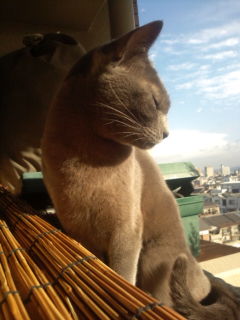 20100123090656.jpg