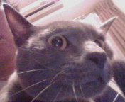 20091219223041.jpg