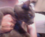 20090820223321.jpg