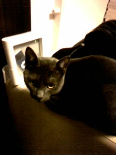 img20090119.jpg