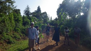 tumu1