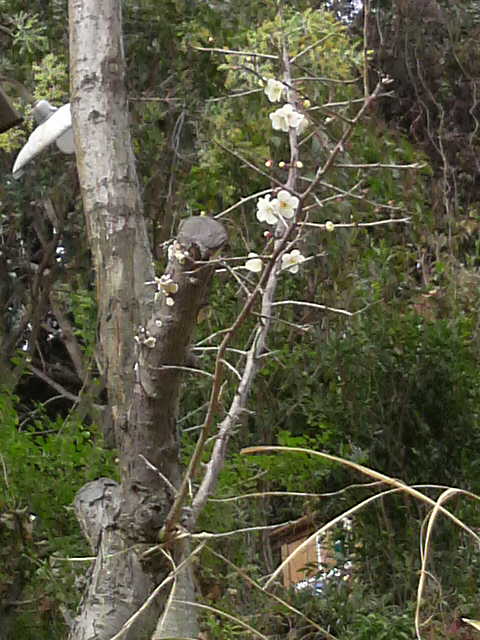 2010020812060000.jpg