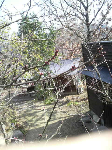 2010020512040000.jpg