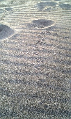 img20071027.jpg