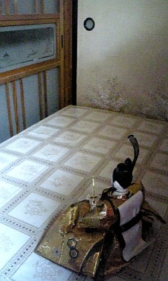 img20070305_7.jpg