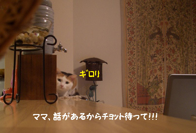 img20080117_3.jpg