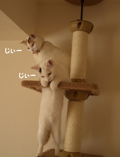 img20080126.jpg