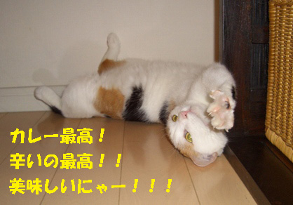 img20071204_2.jpg