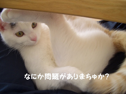 img20080130_3.jpg