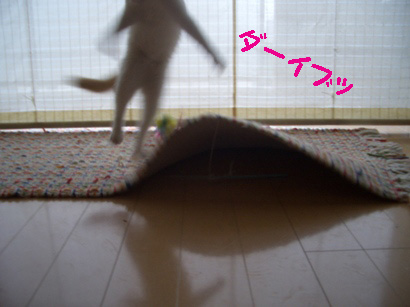 img20080129_1.jpg