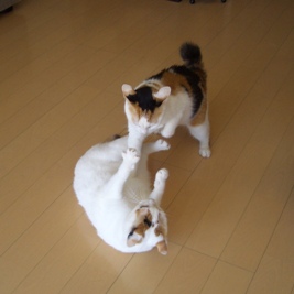 img20070919_1.jpg