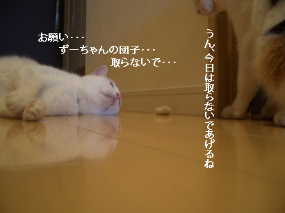 img20080312_3.jpg