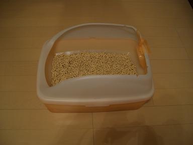 img20070624_1.jpg