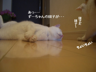 img20080312_2.jpg