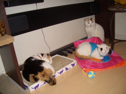 cimg0047.jpg