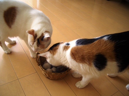 img20070914_1.jpg