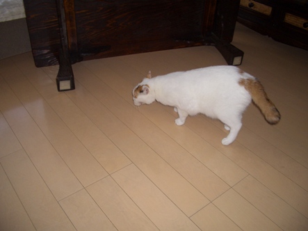 img20070921_5.jpg