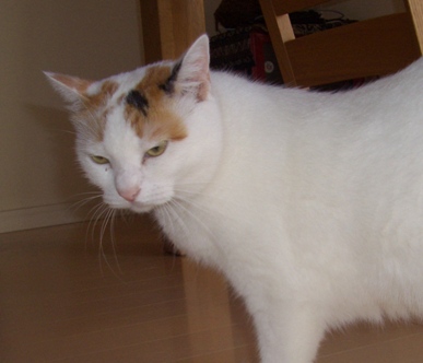 img20070921_7.jpg
