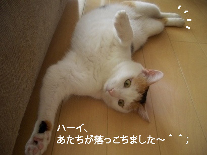 img20080307.jpg