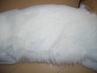 img20070622_5.jpg