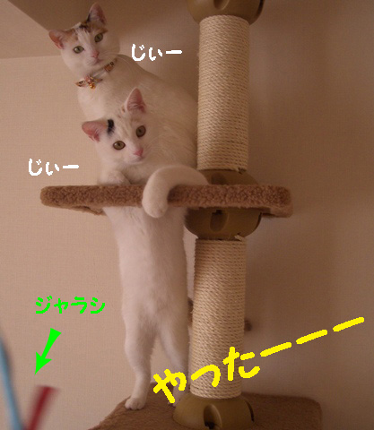 img20080127.jpg